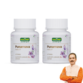 Punarnava Tablets - Jeenasikho Shop