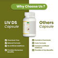 LIV-DS | 60 Capsules - Jeenasikho Shop