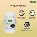 Shilajit Tablets - Jeenasikho Shop