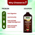 Articlean Vinegar | 500 ml - Jeenasikho Shop