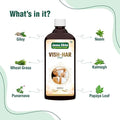Vish Har Ras Syrup | 500 ml - Jeenasikho Shop
