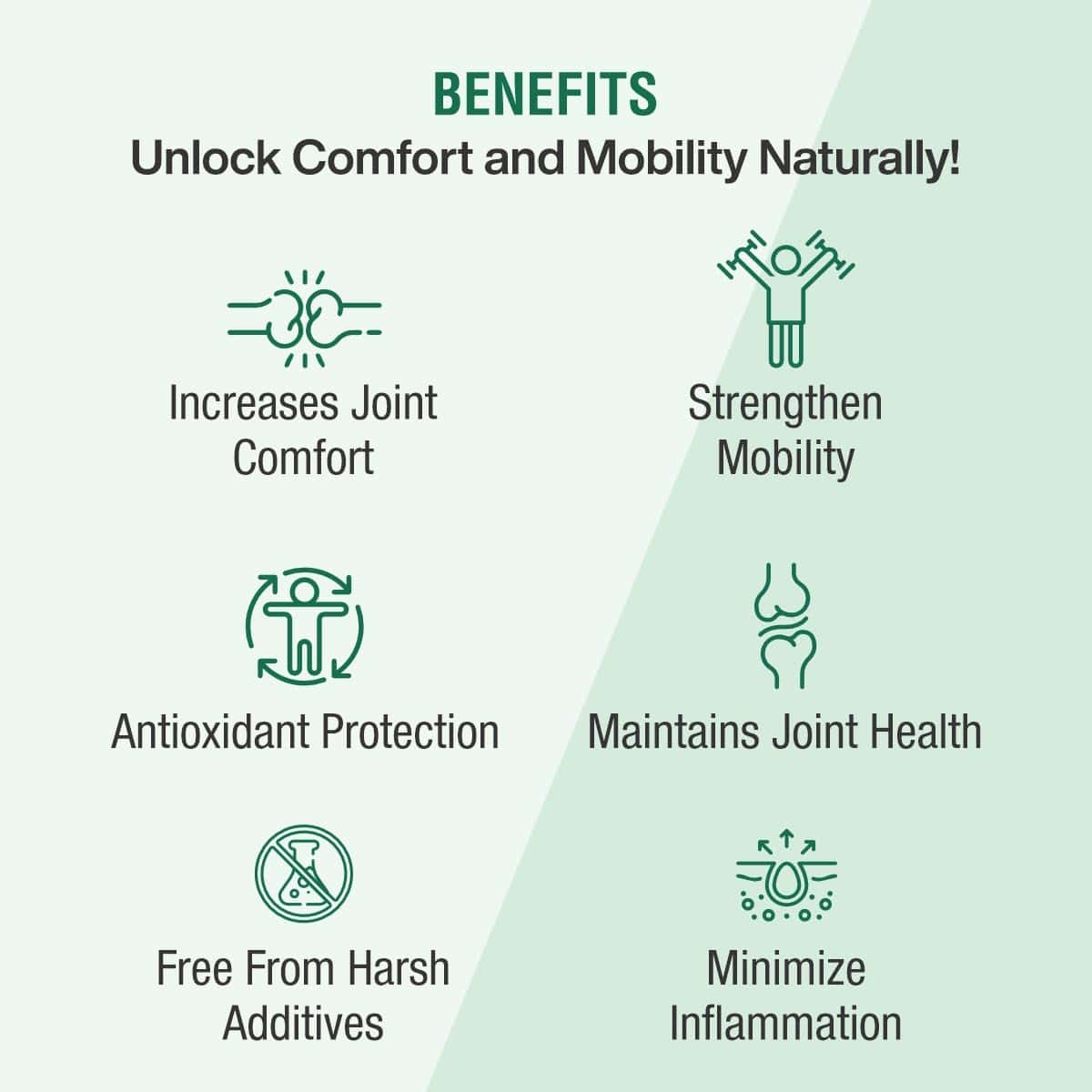 Go Flexi Capsule | 60 Capsules - Jeenasikho Shop