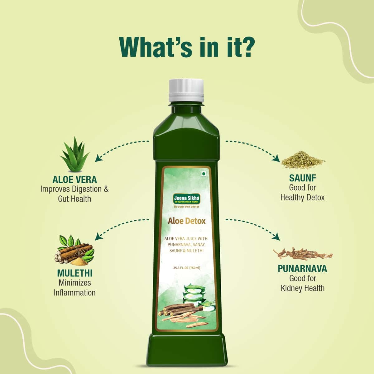Aloe Detox Juice | 750 ml - Jeenasikho Shop