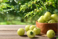 Amla