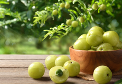 Amla