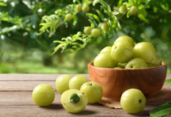 Amla