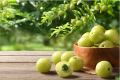 Amla