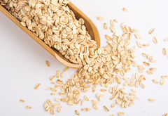 Avena sativa