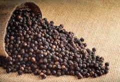 Black Pepper