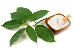 Camphor