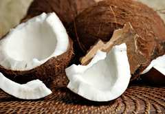 Coconut