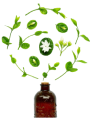 Gentle Ayurvedic Formula