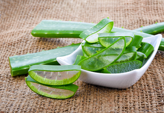 Kanyasara (Aloe vera)