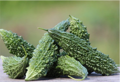 Karela
