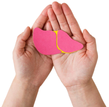 Liver Support