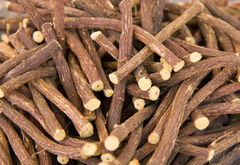 Manjishta