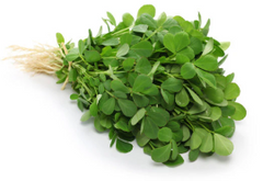 Methi