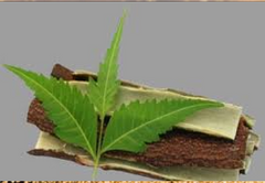 Neem Chaal