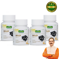Shilajit Tablets - Jeenasikho Shop