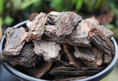 Pine Bark