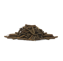 Pipali (Long Pepper)