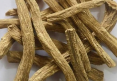 Pushkar Mool (Inula racemosa)