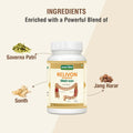 Relivon Powder | 100 gm - Jeenasikho Shop