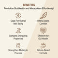 Relivon Powder | 100 gm - Jeenasikho Shop
