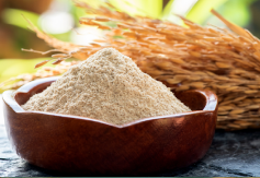 Ricebran Fruit Extract (Oryza sativa)