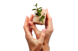 Safe Ayurvedic Formula