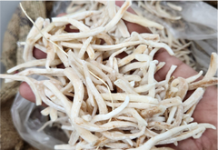 Safed Musli