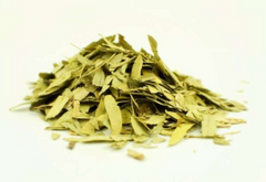Senna Patti