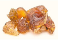 Shudha Guggulu (Commiphora mukul)