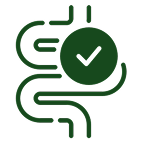 Supports Digestive Health