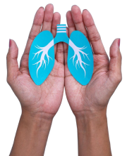 Supports Lung Health