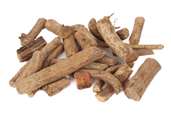 Vidarimool (Pueraria tuberosa)