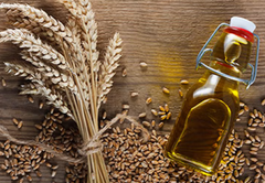Wheatgerm Seed Extract (Triticum vulgare)
