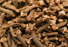 Clove