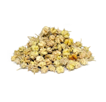 Tribulus Terrestris