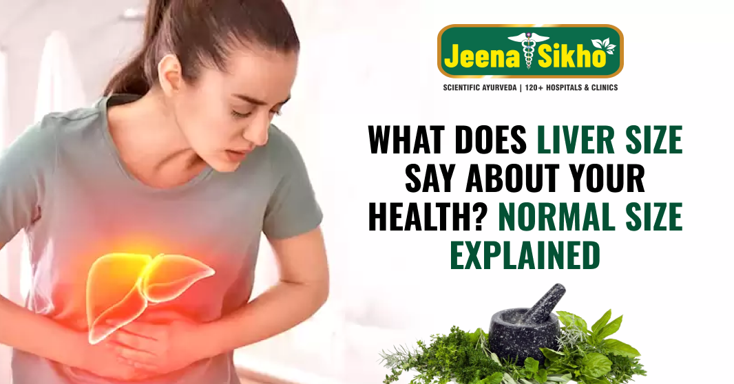 What Does Liver Size Say About Your Health? Normal Size Explained