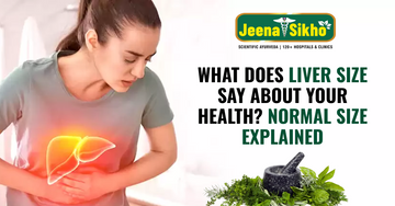 What Does Liver Size Say About Your Health? Normal Size Explained