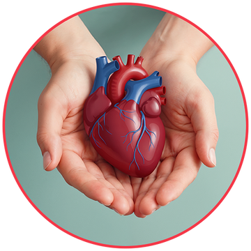 Heart Care