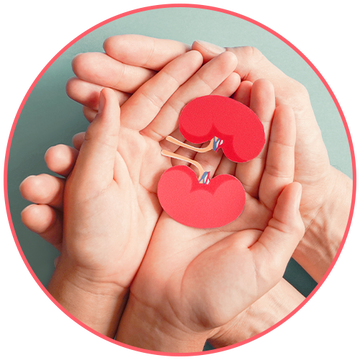 Kidney Care