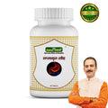Saptamrit Loh | 60 Tablets - Jeenasikho Shop