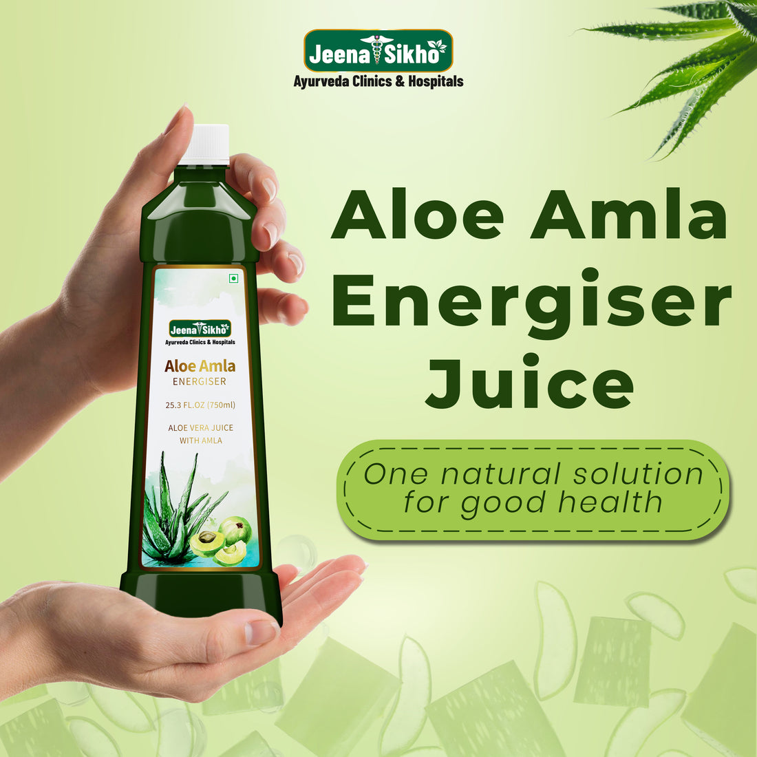 Aloe Amla Energizer Juice | 750 ml - Jeenasikho Shop