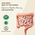 Amal Pitt Har Powder | 60 gm - Jeenasikho Shop