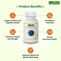 Spermosurge | 60 Capsules - Jeenasikho Shop