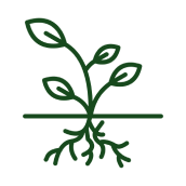 Addresses Root Concern