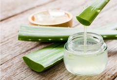 Aloe Vera Satva
