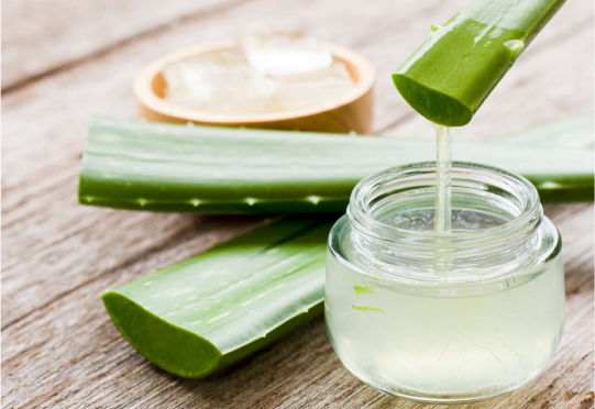 Aloe Vera